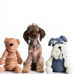 Crochet Patterns for Beginners: Edward's Menagerie-0