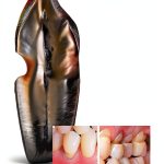 Orthodontics Kindle Book by Quintessence Publishing 518‑Page Guide-0