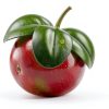 FL Studio Fruity Edition 12 Music Production Software by Image-Line-5